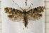  ( - clv112)  @14 [ ] Copyright (2008) Ian Sims Unspecified