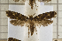  ( - clv113)  @14 [ ] Copyright (2008) Ian Sims Unspecified