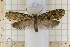  ( - clv115)  @14 [ ] Copyright (2008) Ian Sims Unspecified