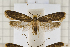  ( - clv116)  @14 [ ] Copyright (2008) Ian Sims Unspecified
