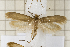  ( - clv118)  @14 [ ] Copyright (2008) Ian Sims Unspecified