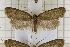  ( - clv12)  @14 [ ] Copyright (2008) Ian Sims Unspecified