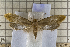  ( - clv120)  @15 [ ] Copyright (2008) Ian Sims Unspecified