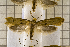  ( - clv122)  @12 [ ] Copyright (2008) Ian Sims Unspecified