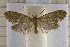  ( - clv130)  @14 [ ] Copyright (2008) Ian Sims Unspecified