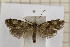  ( - clv164)  @14 [ ] Copyright (2008) Ian Sims Unspecified