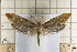  ( - clv165)  @14 [ ] Copyright (2008) Ian Sims Unspecified