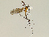  ( - CMNH575747)  @13 [ ] CreativeCommons - Attribution Non-Commercial No Derivatives (2011) Chen Young Carnegie Museum