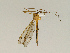  ( - CMNH544096)  @13 [ ] CreativeCommons - Attribution Non-Commercial No Derivatives (2010) Chen Young Carnegie Museum