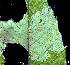 ( - RMNH.INS.31425)  @11 [ ] CreativeCommons  Attribution Non-Commercial Share-Alike (2020) Erik J. van Nieukerken-Naturalis Naturalis Biodiversity Center