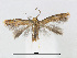  ( - RMNH.5013739)  @14 [ ] CreativeCommons - Attribution Non-Commercial Share-Alike (2016) Unspecified Naturalis Biodiversity Center