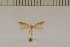  ( - DLW20007)  @11 [ ] Unspecified (default): All Rights Reserved  Unspecified Unspecified