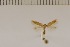  ( - DLW20013)  @11 [ ] Unspecified (default): All Rights Reserved  Unspecified Unspecified