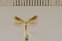  ( - DLW20017)  @12 [ ] Unspecified (default): All Rights Reserved  Unspecified Unspecified