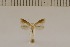  ( - DLW20019)  @11 [ ] Unspecified (default): All Rights Reserved  Unspecified Unspecified
