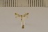  ( - DLW20024)  @11 [ ] Unspecified (default): All Rights Reserved  Unspecified Unspecified