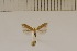  ( - DLW20026)  @11 [ ] Unspecified (default): All Rights Reserved  Unspecified Unspecified