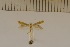  ( - DLW20028)  @11 [ ] Unspecified (default): All Rights Reserved  Unspecified Unspecified