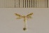 ( - DLW20031)  @11 [ ] Unspecified (default): All Rights Reserved  Unspecified Unspecified