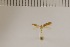  ( - DLW20033)  @11 [ ] Unspecified (default): All Rights Reserved  Unspecified Unspecified