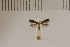  ( - DLW20036)  @12 [ ] Unspecified (default): All Rights Reserved  Unspecified Unspecified