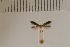  ( - DLW20037)  @11 [ ] Unspecified (default): All Rights Reserved  Unspecified Unspecified