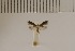  ( - DLW20040)  @11 [ ] Unspecified (default): All Rights Reserved  Unspecified Unspecified