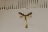  ( - DLW20041)  @11 [ ] Unspecified (default): All Rights Reserved  Unspecified Unspecified