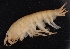  ( - SPCB-PR001)  @11 [ ] CreativeCommons - Attribution (2017) Alex Borisenko Centre for Biodiversity Genomics