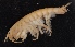  ( - SPCB-PR003)  @11 [ ] CreativeCommons - Attribution (2017) Alex Borisenko Centre for Biodiversity Genomics