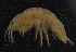  ( - SPCB-PR010)  @11 [ ] CreativeCommons - Attribution (2017) Alex Borisenko Centre for Biodiversity Genomics