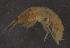  ( - SPCB-PR016)  @11 [ ] CreativeCommons - Attribution (2017) Alex Borisenko Centre for Biodiversity Genomics