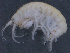 ( - SPCB-OC026)  @11 [ ] CreativeCommons - Attribution (2017) Alex Borisenko Centre for Biodiversity Genomics