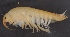  ( - SPCB-ET007)  @11 [ ] CreativeCommons - Attribution (2017) Alex Borisenko Centre for Biodiversity Genomics