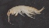  ( - SPCB-EI004)  @11 [ ] CreativeCommons - Attribution (2017) Alex Borisenko Centre for Biodiversity Genomics