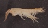  ( - SPCB-EI006)  @11 [ ] CreativeCommons - Attribution (2017) Alex Borisenko Centre for Biodiversity Genomics