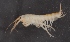  ( - SPCB-EI007)  @11 [ ] CreativeCommons - Attribution (2017) Alex Borisenko Centre for Biodiversity Genomics