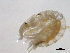  ( - SPCNAS-GTI 0099)  @12 [ ] CreativeCommons - Attribution Non-Commercial (2015) Scientific and Practical Center for Bioresources Scientific and Practical Center for Bioresources