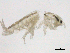  ( - SPCNAS-GTI 0106)  @12 [ ] CreativeCommons - Attribution Non-Commercial (2015) Scientific and Practical Center for Bioresources Scientific and Practical Center for Bioresources