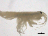  ( - SPCNAS-GTI 0107)  @12 [ ] CreativeCommons - Attribution Non-Commercial (2015) Scientific and Practical Center for Bioresources Scientific and Practical Center for Bioresources