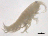  ( - SPCNAS-GTI 0118)  @12 [ ] CreativeCommons - Attribution Non-Commercial (2015) Scientific and Practical Center for Bioresources Scientific and Practical Center for Bioresources