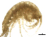  ( - SPCNAS-GTI 0178)  @11 [ ] CreativeCommons - Attribution Non-Commercial (2015) Scientific and Practical Center for Bioresources Scientific and Practical Center for Bioresources