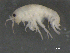  ( - BIOUG07994-D08)  @13 [ ] CreativeCommons - Attribution (2015) Tzitziki Loeza-Quintana Centre for Biodiversity Genomics