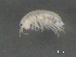  ( - BIOUG07994-F04)  @13 [ ] CreativeCommons - Attribution (2015) Tzitziki Loeza-Quintana Centre for Biodiversity Genomics