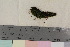  ( - TROM_B_190302)  @11 [ ] CreativeCommons - Attribution Non-Commercial Share-Alike (2017) Unspecified Tromsø University Museum