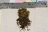  ( - TROM_B_50391)  @11 [ ] CreativeCommons - Attribution Non-Commercial Share-Alike (2017) Unspecified Tromsø University Museum