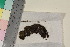  ( - TROM_B_50480)  @11 [ ] CreativeCommons - Attribution Non-Commercial Share-Alike (2017) Unspecified Tromsø University Museum