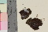  ( - TROM_B_52075)  @11 [ ] CreativeCommons - Attribution Non-Commercial Share-Alike (2017) Unspecified Tromsø University Museum