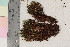  ( - TROM_B_730463)  @11 [ ] CreativeCommons - Attribution Non-Commercial Share-Alike (2017) Unspecified Tromsø University Museum