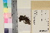  ( - TROM_B_730726)  @11 [ ] CreativeCommons - Attribution Non-Commercial Share-Alike (2017) Unspecified Tromsø University Museum